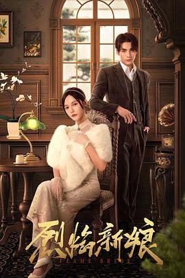 河南seo软件怎么操作